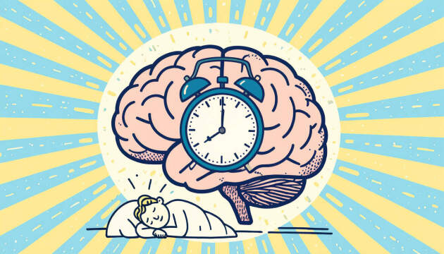 Discover how resetting the suprachiasmatic nucleus can transform your daily rhythms and enhance overall well-being. Explore practical techniques involving light, sleep, and technology to optimize your body's internal clock for peak performance.